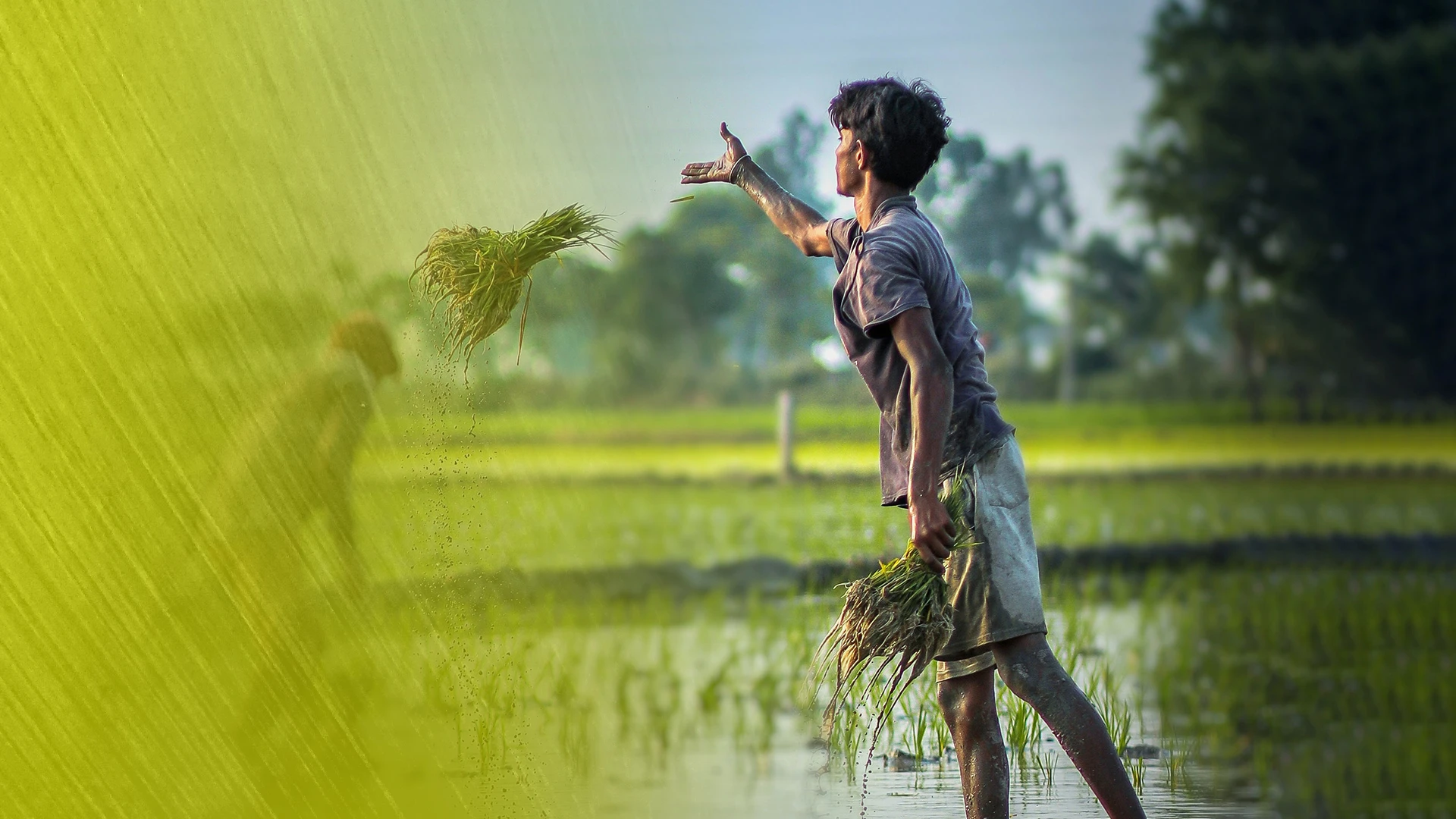 Ushagram Vikas Kendra